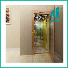 Luxury Home Elevator with Competitive Price Sum-Elevator